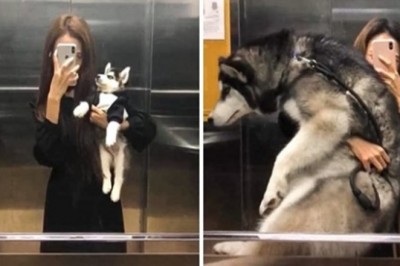 Dumni właściciele pokazują jak ich maluszki zmieniały się z upływem czasu