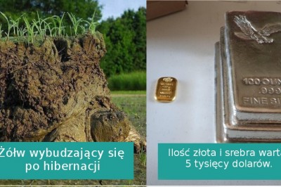 19 zdjęć, które pozwolą ci lepiej poznać otaczający nas świat