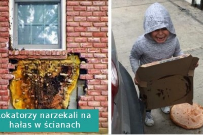 Myślisz, że masz pecha? Im zdecydowanie nie jest po drodze ze szczęściem