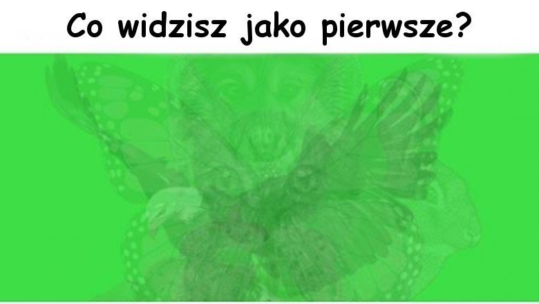 Które zwierze na obrazku dostrzeżesz jako pierwsze, mówi o tym, jaką jesteś osobą