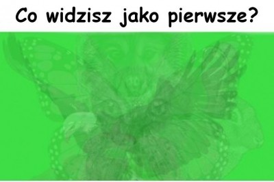Które zwierze na obrazku dostrzeżesz jako pierwsze, mówi o tym, jaką jesteś osobą