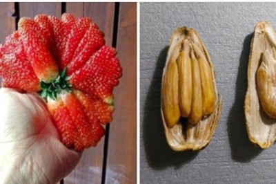 20 sytuacji, w których matka natura pokazała, że działa na swoich zasadach