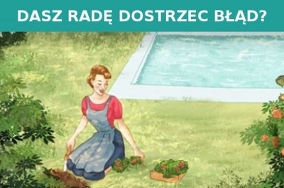 Wytęż swój wzrok i znajdź wszystkie błędy na poniższych 11 ilustracjach