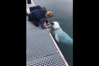 Bielucha oddaje ziomkowi telefon, który wpadł mu do wody kiedy nagrywał