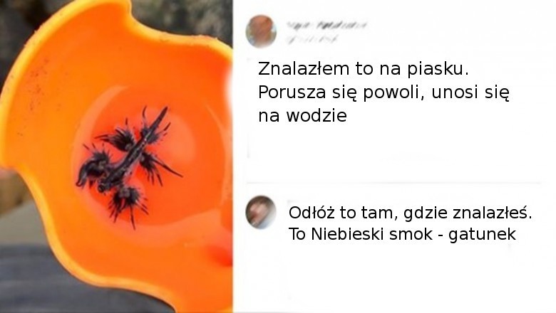 15 osób, które nieoczekiwanie były świadkami małego cudu natury 