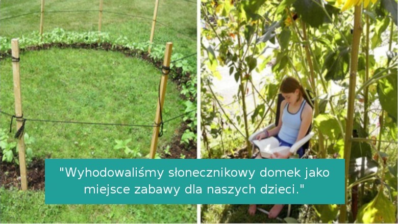 16 miłośników ogrodnictwa, którzy pochwalili się swoimi projektami