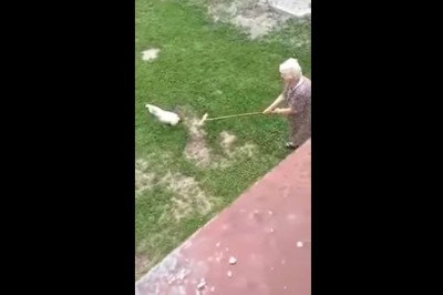 Kiedy rosół chce zaatakować babcię, a Ty to akurat nagrywasz