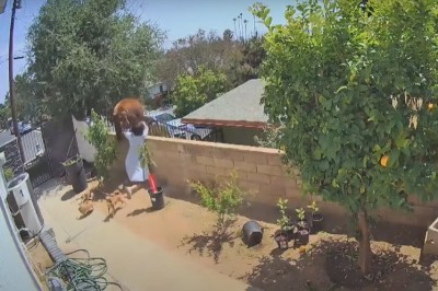 Konkretna jazda na podwórku. Nic dziwniejszego dzisiaj nie zobaczysz