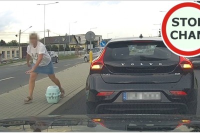 Mocno ją poniosło. Spacer ze zwierzakiem na środku drogi 