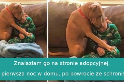 18 właścicieli, którzy kochają swoje zwierzaki nad życie