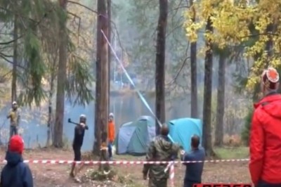 Kierownik wycinki drzew. Wie w którą stronę uciekać, gdy leci drzewo