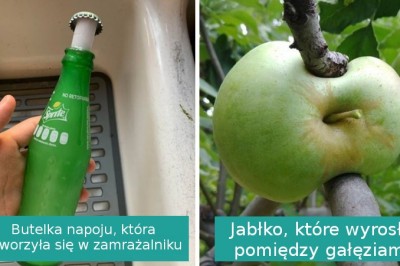 17 zdjęć niecodziennych zdarzeń, które sprawiły, że opadła nam szczęka