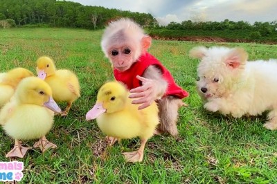 Codzienna porcja ciekawych i zabawnych filmików #354