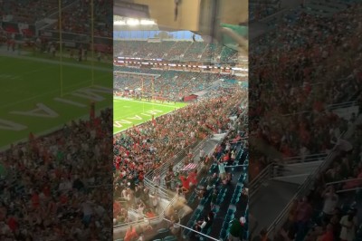 Kibice ratują kota, który spada z wysokiej trybuny