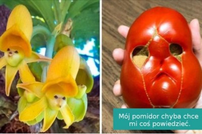 15 niezwykłych i trochę strasznych rzeczy, które przygotowała dla nas natura