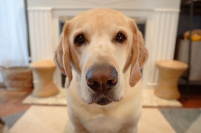 Codzienna porcja ciekawych i zabawnych filmików #363