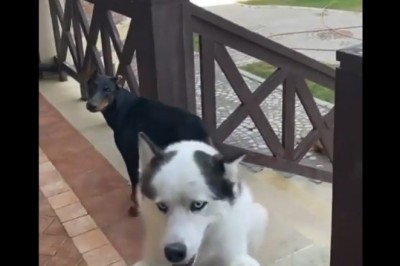 Kiedy chcesz się pochwalić swoją chatą nowemu kumplowi