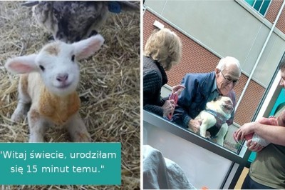 17 zdjęć, które poprawią Ci humor i podniosą na duchu nawet w ciężkim dniu