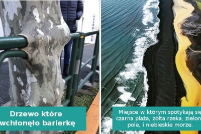 18 zdjęć, które wyglądają jak dzieło z Photoshopa, lecz są prawdziwe