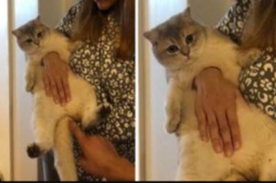 15 zdjęć, które sprawią, że przetrzesz oczy ze zdumienia