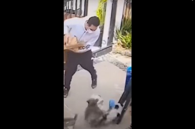 Dostarczanie pizzy to nie taka łatwa sprawa. Ten gość się o tym przekonał 