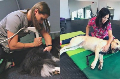 Codzienna porcja ciekawych i zabawnych filmików #392