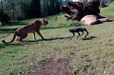 Codzienna porcja ciekawych i zabawnych filmików #394