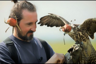 Codzienna porcja ciekawych i zabawnych filmików #397