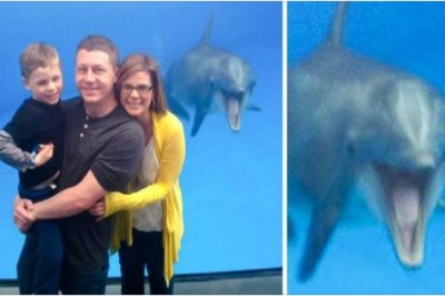 17 zwierzaków, które potrafią polepszyć każde zdjęcie