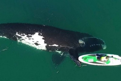 Codzienna porcja ciekawych i zabawnych filmików #400
