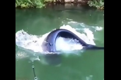 Kiedy jesteś wędkarzem i trafisz na rybę swojego życia 