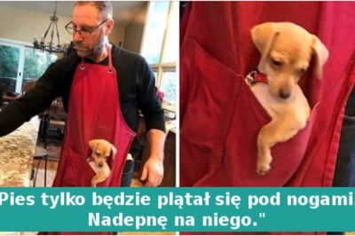 17 mężczyzn, którzy stworzyli nieoczekiwaną więź ze swoimi zwierzakami