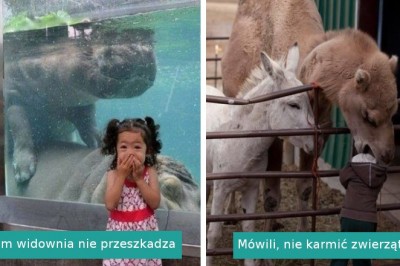 Ta galeria udowadnia, że wycieczka do zoo może przejść najśmielsze oczekiwania
