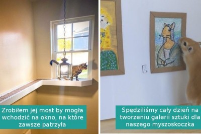 18 zwierzaków, które znalazły swojego wymarzonego człowieka i są szczęśliwe