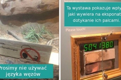 17 niezwykłych wystaw i eksponatów muzealnych, które zaskoczyły kreatywnością