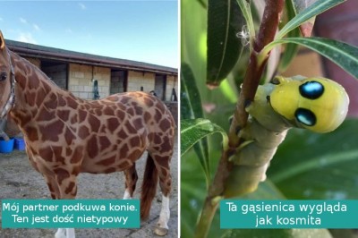 15 szczęściarzy, którym udało się uchwycić coś wyjątkowego