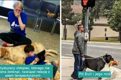 17 optymistycznych zdjęć zwierząt, które podniosą cię na duchu