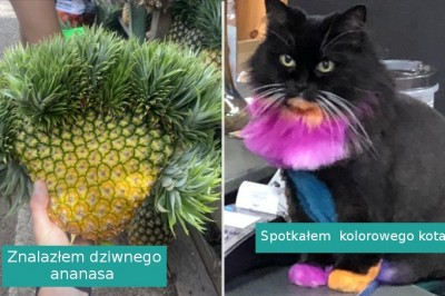 14 sytuacji, w których los sprawił ludziom niezłą niespodziankę