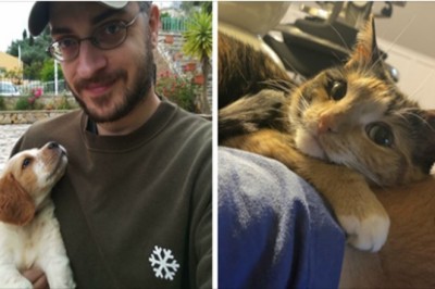 17 słodkich zwierzaków wpatrzonych w swoich właścicieli niczym w obrazek