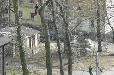 Kiedy Andrzej z kumplami zabiera się za ścinanie drzewa - Katowice 