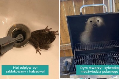 15 przykładów na to, że pewni ludzie zawsze są zaskakiwani przez życie i się nie nudzą 