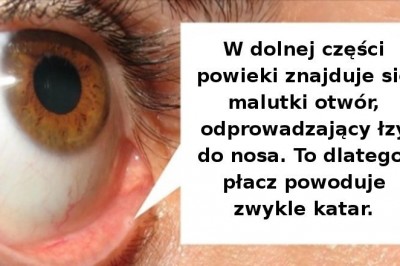 15 interesujących faktów na temat ludzkiego ciała, które wciąż potrafią nas zaskoczyć