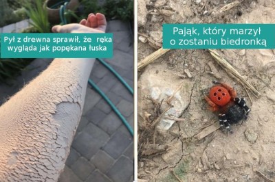 17 zdjęć, przy których nie potrzeba przeróbki w Photoshopie, żeby przyciągnąć uwagę