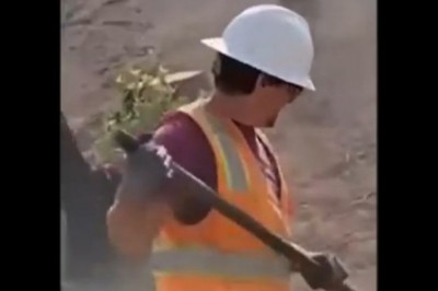 Kiedy kumple z pracy orientują się, że pracuje z nimi Rocky Balboa