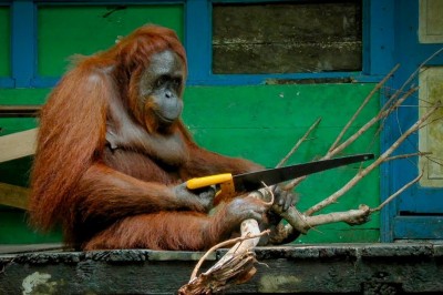 Codzienna porcja ciekawych i zabawnych filmików #497