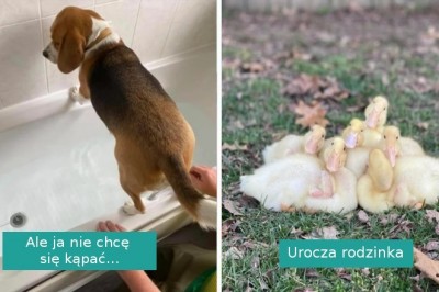 16 zdjęć, które sprawią, że uśmiech zagości na niemal każdej twarzy 