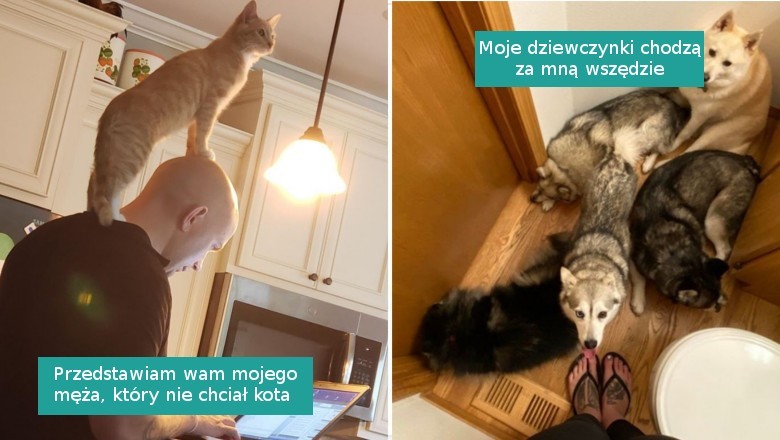 Galeria zwierzaków, które nie opuszczają swojego człowieka ani na minutę