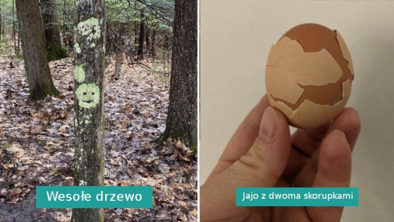 18 zdjęć pokazujących, że Matka Natura ma świetne poczucie humoru