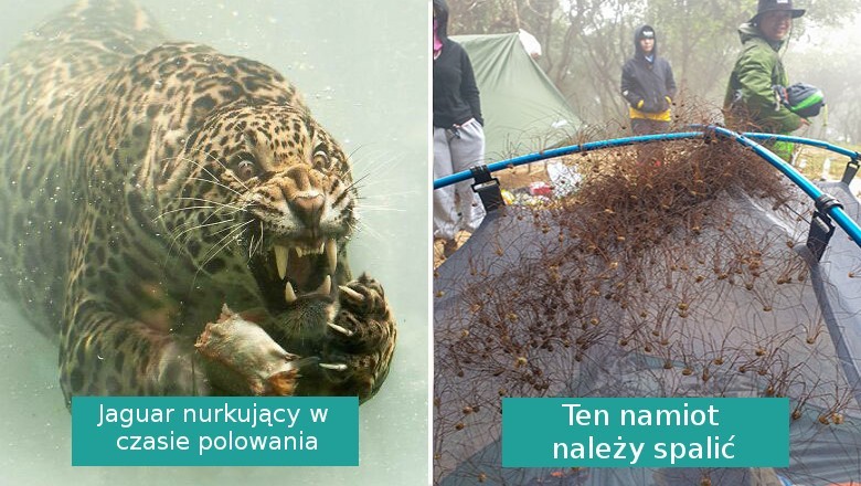 16 sytuacji, w których Matka Natura okazała się przerażająca