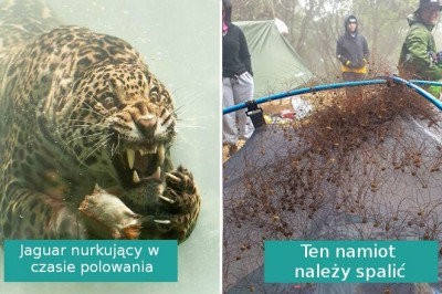 16 sytuacji, w których Matka Natura okazała się przerażająca